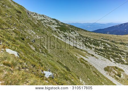Amazing Landscape Of Near Vasilashki Lakes, Pirin Mountain, Bulgaria
