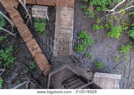 Lady Sitting On Balcony In Mangrove Forest Viewpoint