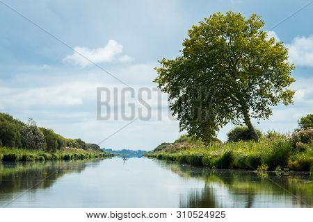 The Beautiful Reflection Of A Tree In The Wetland Near Saint Lyphard
