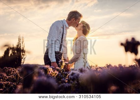 Bridal couple after the wedding kissing during sunset on a meadow in rural environment