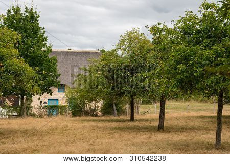 Old House In Saint Lyphard (france) With A Thatched Roof