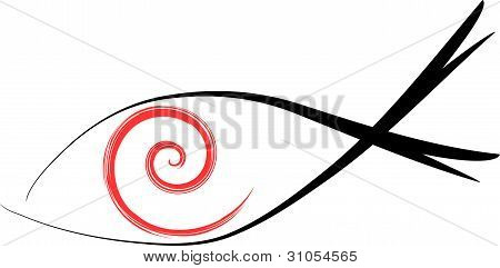 Auge