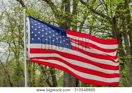 Amierican Flag Against Spring Green Blowing In The Wind