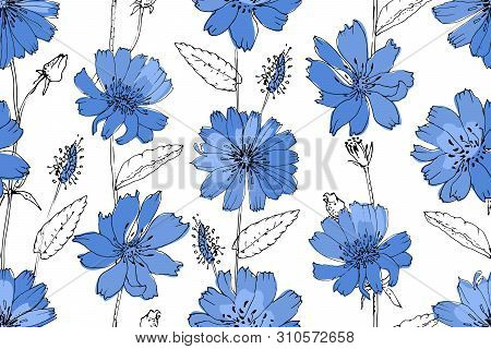 Art Floral Vector Seamless Pattern. Blue Succory (chicory) On White Background. Isolated Vector Flow