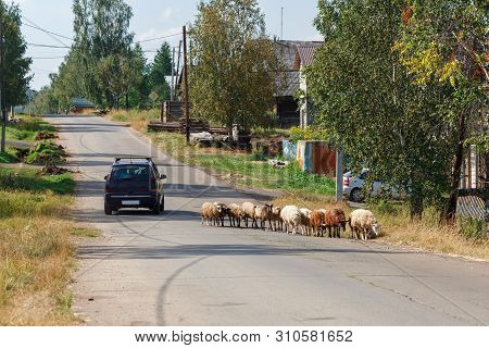 Herd Of Sheep And Car On The Country Road. Village Of Visim, Sverdlovsk Region, Russia.