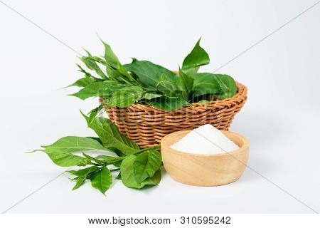 Gymnema Inodorum Leaf In The Basket And Sugar On White Background, Medicine Herbal Plant For Diabete