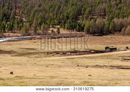 Farm In A Field By The River On A Background Of Green Coniferous Forest. The Background Is Brown, Ye