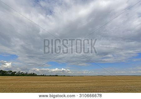 Summer Landscapes In Nature. Maryanovka - Village, Maryanovsky Village Council, Novomoskovsky Distri
