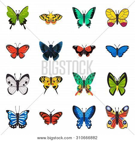 Isolated Object Of Nature And Summer Icon. Set Of Nature And Animal Vector Icon For Stock.