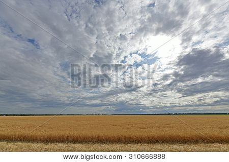 Summer Landscapes In Nature. Maryanovka - Village, Maryanovsky Village Council, Novomoskovsky Distri
