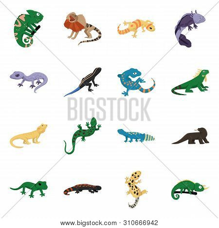 Vector Illustration Of Animal And Reptile Logo. Collection Of Animal And Nature Stock Symbol For Web