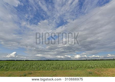 Summer Landscapes In Nature. Maryanovka - Village, Maryanovsky Village Council, Novomoskovsky Distri
