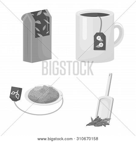 Vector Design Of Green And Black Logo. Collection Of Green And Organic Stock Vector Illustration.
