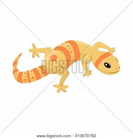 Vector Illustration Of Lizard And Reptile Sign. Collection Of Lizard And Original Vector Icon For St
