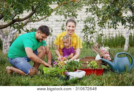 Happy Family Gardening Together And Taking Care Of Nature. Plant Sprouts And Fertilize The Ground. M