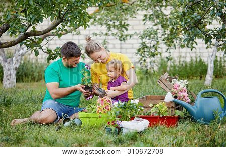 Happy Family Gardening Together And Taking Care Of Nature. Plant Sprouts And Fertilize The Ground. M