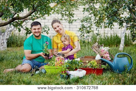 Happy Family Gardening Together And Taking Care Of Nature. Plant Sprouts And Fertilize The Ground. M