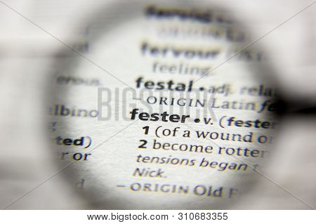 The Word Or Phrase Fester In A Dictionary