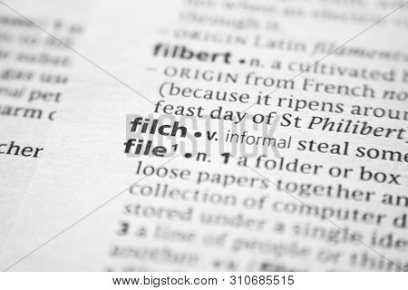 Word Or Phrase Filch In A Dictionary