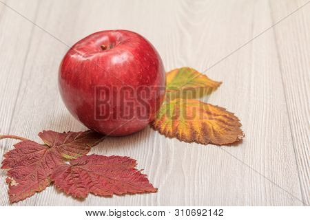 Apple And Dry Leaves On Wooden Boards. An Autumn Still Llife.