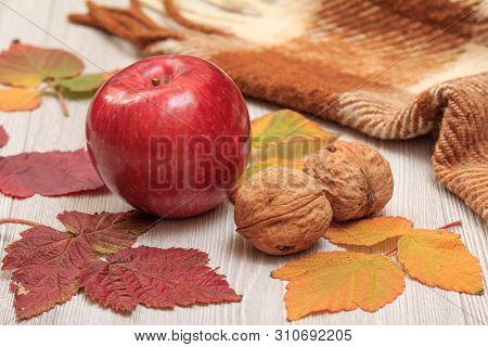 Apple, Walnuts, Checkered Plaid And Dry Leaves On Wooden Boards. An Autumn Still Llife.