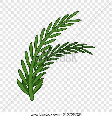 Fresh Rosemary Sprigs Icon. Cartoon Illustration Of Fresh Rosemary Sprigs Vector Icon For Web Design