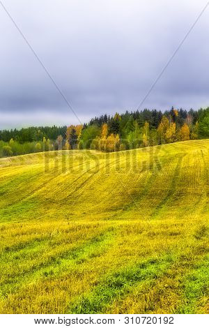 Beautiful Fall Landscape With Wavy Colorful Fields Under Rainy Grey Skies.vertical Image Composition
