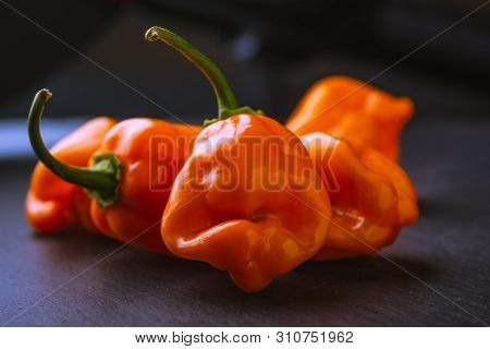 Close Up Grouping Of Raw Bright Orange Habaneros On A Slate Surface, The Front Pepper Appears To Hav