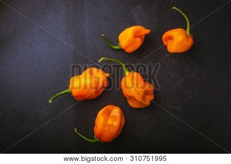 Grouping Of Raw Orange Habaneros On A Slate Surface