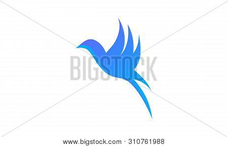 Animal Bird Flying Graphic Logo Template Vactor
