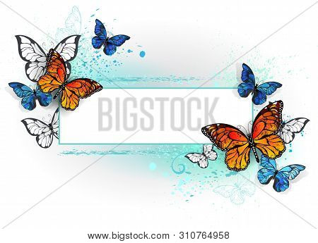 Rectangular Banner With  Blue Butterfly Morpho And Orange Monarch Butterfly On A White Background. M