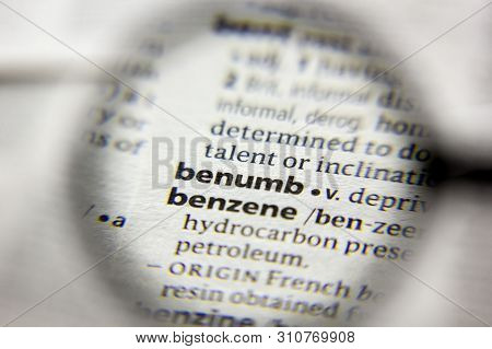 The Word Or Phrase Benumb In A Dictionary