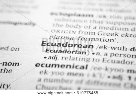 Word Or Phrase Ecuadorean In A Dictionary