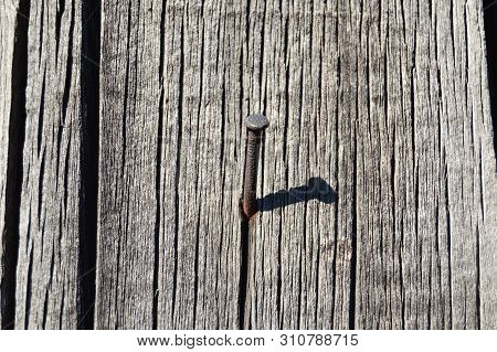 Old Nail In Wooden Board Background. Close-up