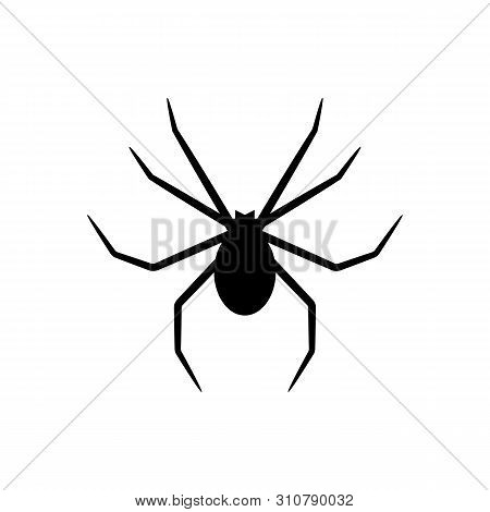 Black Silhouette Of Spider Isolated On White Background. Halloween Decorative Element. Vector Illust