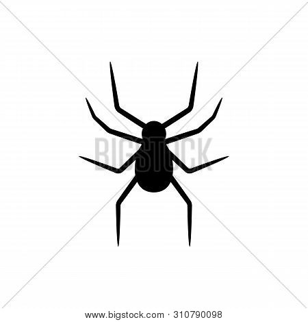 Black Silhouette Of Spider Isolated On White Background. Halloween Decorative Element. Vector Illust