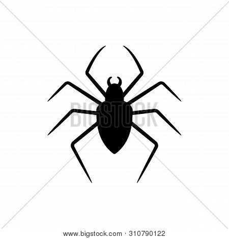 Black Silhouette Of Spider Isolated On White Background. Halloween Decorative Element. Vector Illust