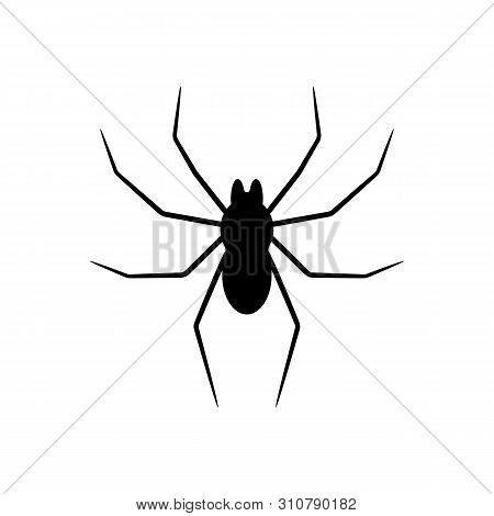 Black Silhouette Of Spider Isolated On White Background. Halloween Decorative Element. Vector Illust