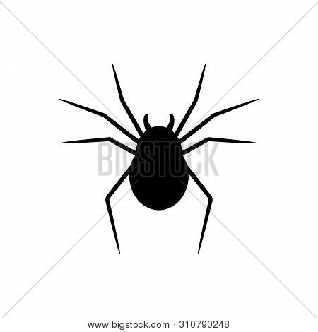 Black Silhouette Of Spider Isolated On White Background. Halloween Decorative Element. Vector Illust
