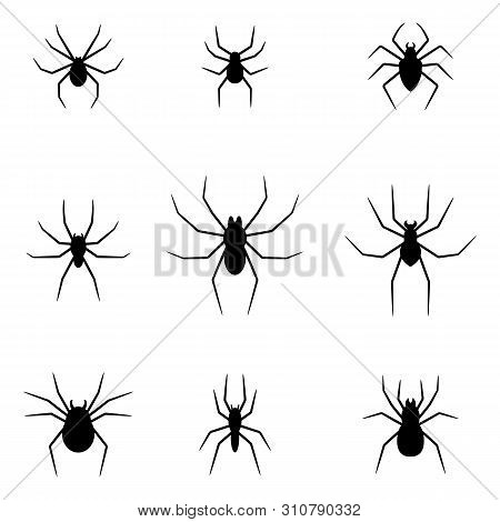 Set Of Black Silhouettes Of Spiders Isolated On White Background. Halloween Decorative Elements. Vec