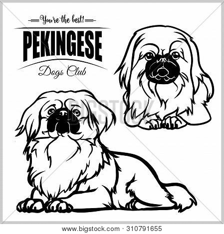 Pekingese - Vector Set Isolated Illustration On White Background