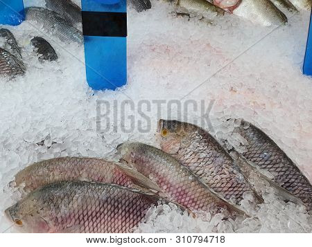 Top View Of Giant Gourami Fish On Ice As A Background With Blank Label For Sale In The Fish Market A