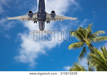Bottom View of Passenger Airplane Flying Over Tropical Palm Trees.