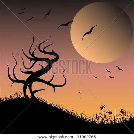 Albero nero