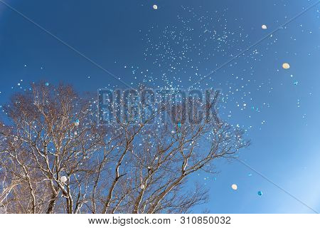 A Skyful Of Balloon, Colorful Balloons All Over The Sky In Spring Time Sunny Day, A Happiness Concep
