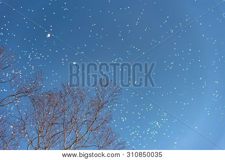 A Skyful Of Balloon, Colorful Balloons All Over The Sky In Spring Time Sunny Day, A Happiness Concep