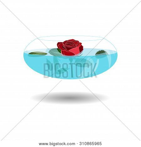 Scarlet Rose In A Vase Of Water. Vector Illustration Beatiful Rose In Nice Transparent Bowl With Wat