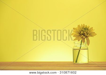 Beautiful Yellow Flowers On A Old Red Wooden Table, Yellow Background.