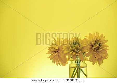 Beautiful Yellow Flowers On A Old Red Wooden Table, Yellow Background.