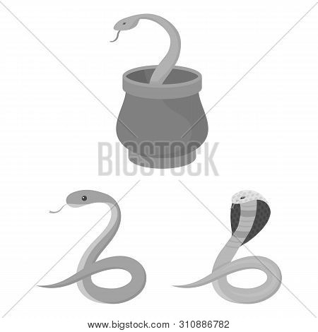 Isolated Object Snake Image & Photo (Free Trial) | Bigstock